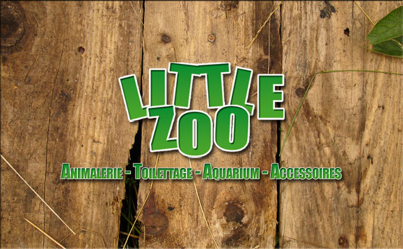Little Zoo Logo